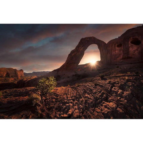 The Hidden Face Gold Ornate Wood Framed Art Print with Double Matting by F. Turienzo, Carlos