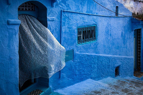 Blowing In The Wind Black Ornate Wood Framed Art Print with Double Matting by Wride, Linda