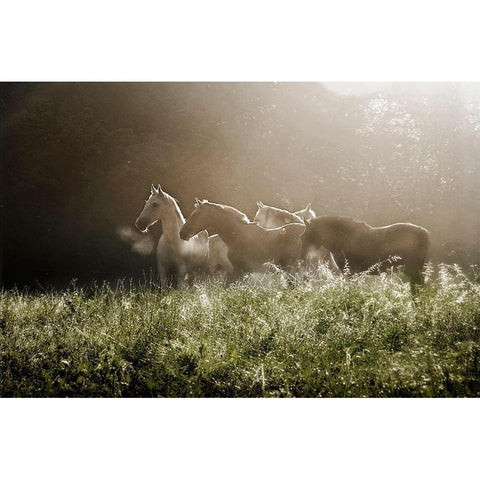 Yesterday Morning White Modern Wood Framed Art Print by Malovrh, Milan