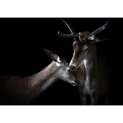 Tenderness Black Modern Wood Framed Art Print with Double Matting by Pascual Buye, Santiago