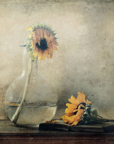 Before I Wilt... Black Ornate Wood Framed Art Print with Double Matting by Devos, Delphine