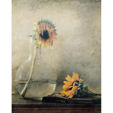 Before I Wilt... Black Modern Wood Framed Art Print by Devos, Delphine