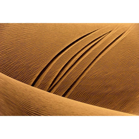 The Epoch Of Man Black Modern Wood Framed Art Print with Double Matting by Navvabpour, Morteza