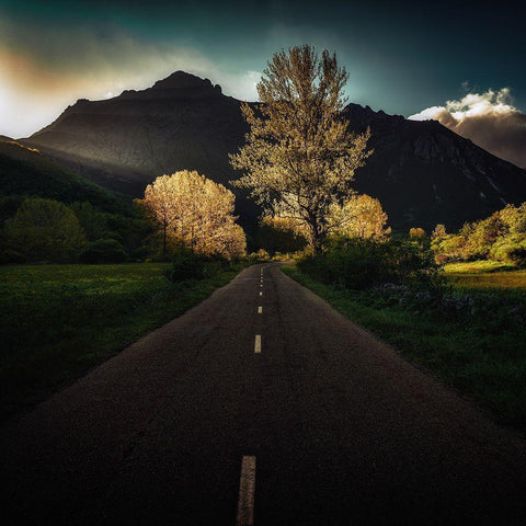 Sunset On The Road Gold Ornate Wood Framed Art Print with Double Matting by Antonio Cobo, Marco