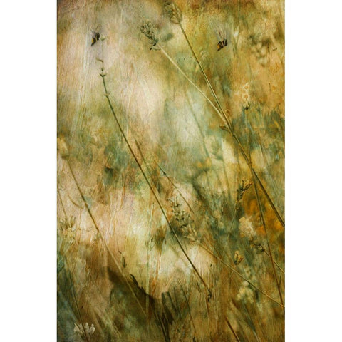 To Each A Season Black Modern Wood Framed Art Print by Devos, Delphine