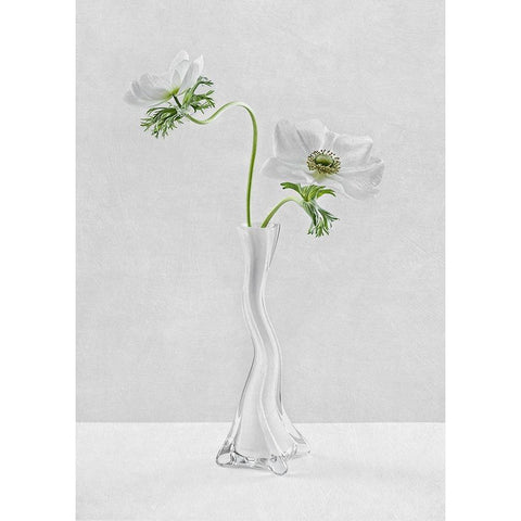 Curves White Modern Wood Framed Art Print by Karpova, Inna