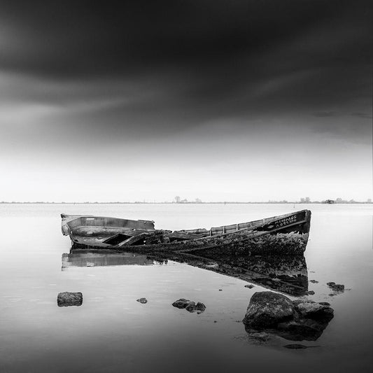 Image Only