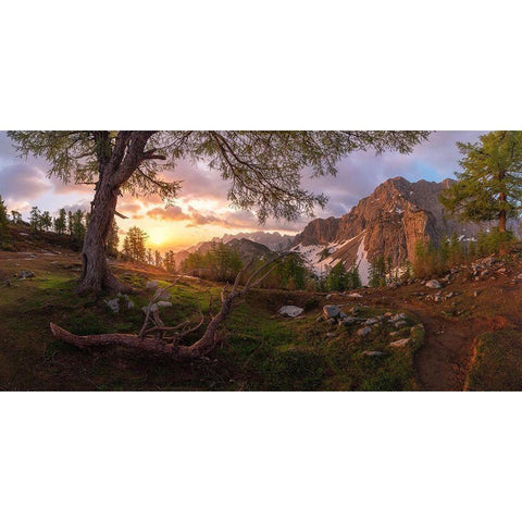 Magical Morning Black Modern Wood Framed Art Print by Krivec, Ales