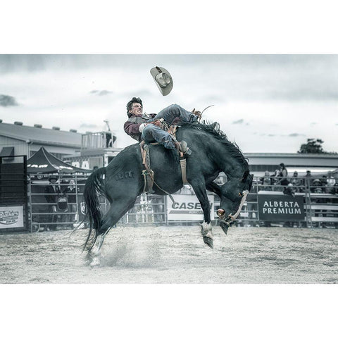 Cowboy In Action Gold Ornate Wood Framed Art Print with Double Matting by Deng, Larry