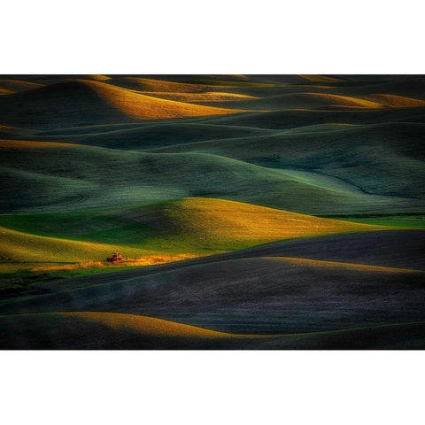 Tractor Gold Ornate Wood Framed Art Print with Double Matting by Darby, Rob