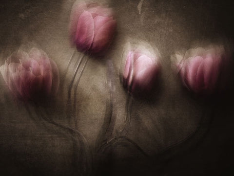 Fantastic Four White Modern Wood Framed Art Print with Double Matting by Lagaa, Kahar