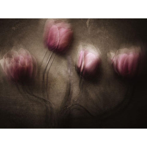 Fantastic Four Gold Ornate Wood Framed Art Print with Double Matting by Lagaa, Kahar