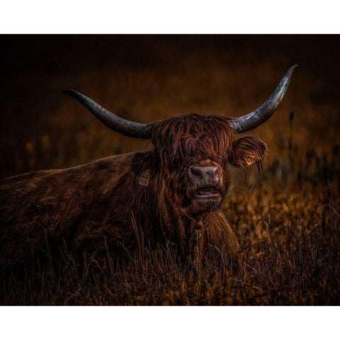 On A Break Black Modern Wood Framed Art Print with Double Matting by Agazzi, Andreas