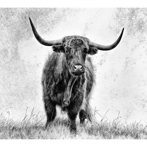 La Force Black Modern Wood Framed Art Print by Pecqueux, Stephane