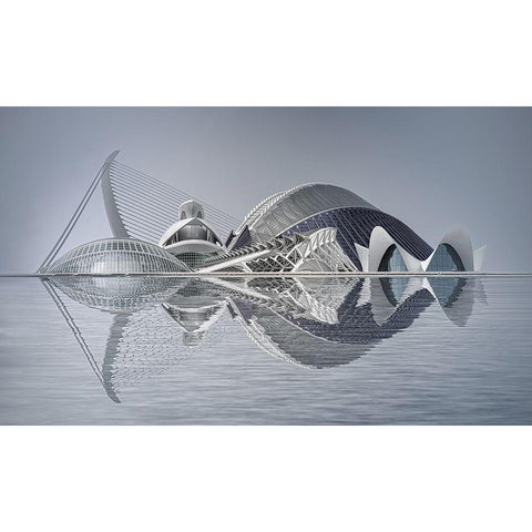 Ciutat De Les Arts I Les Ciauncies Black Modern Wood Framed Art Print by Lisa Roeder, Margit