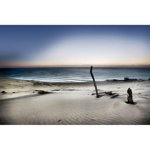Reach For The Sun White Modern Wood Framed Art Print by Brackstone, Mel