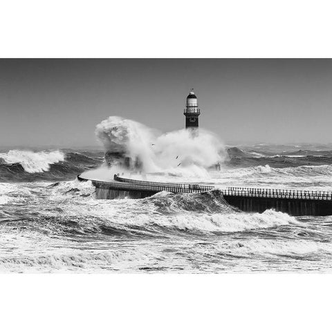 Power Of The Sea Black Modern Wood Framed Art Print by Springgay, Daniel