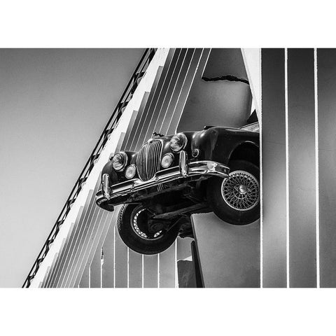 Coming Through Black Modern Wood Framed Art Print with Double Matting by Moss, Susan