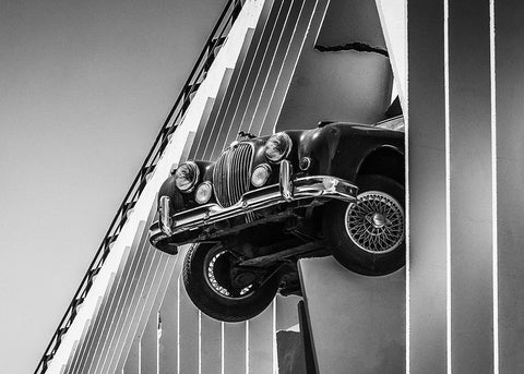 Coming Through White Modern Wood Framed Art Print with Double Matting by Moss, Susan