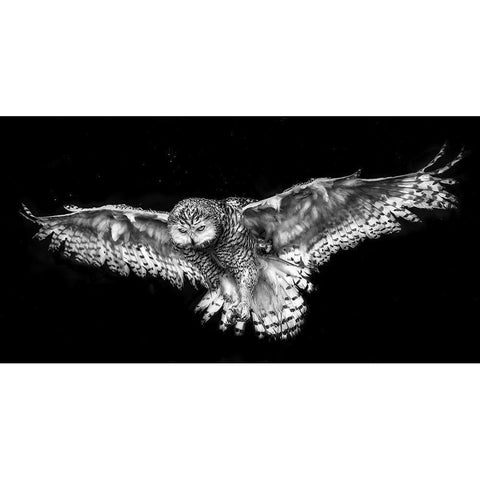 Snowy In The Rain Gold Ornate Wood Framed Art Print with Double Matting by Breau, Susan