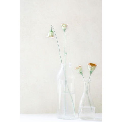 Simplicity And Elegance White Modern Wood Framed Art Print by Devos, Delphine