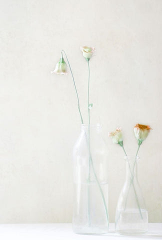 Simplicity And Elegance White Modern Wood Framed Art Print with Double Matting by Devos, Delphine