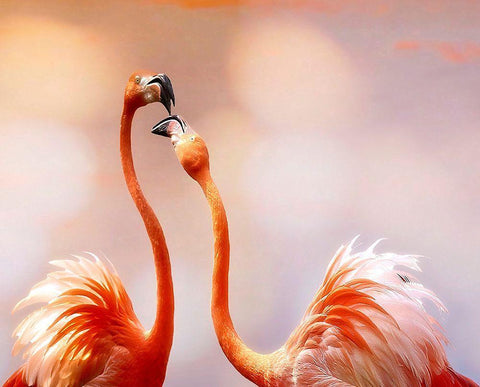 The Kiss White Modern Wood Framed Art Print with Double Matting by Cseresnjes, Anna