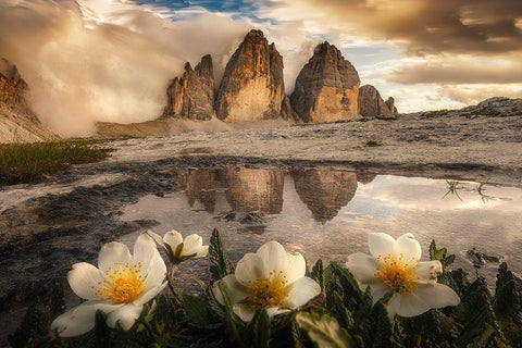 Tre Cime Di Lavaredo-Always Great Emotions! Black Ornate Wood Framed Art Print with Double Matting by Ghizzi Panizza, Alberto