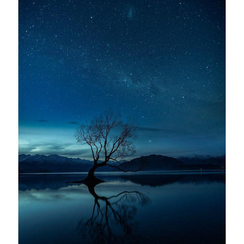 Wanaka Tree Black Modern Wood Framed Art Print with Double Matting by Cheng, Yu