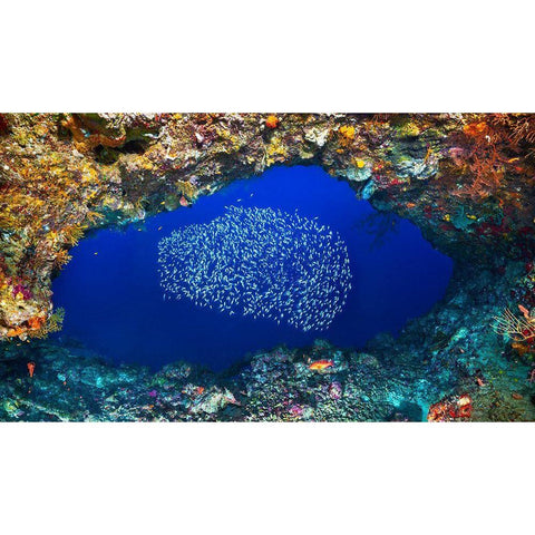 Underwater Cave White Modern Wood Framed Art Print by Gabriel, Barathieu