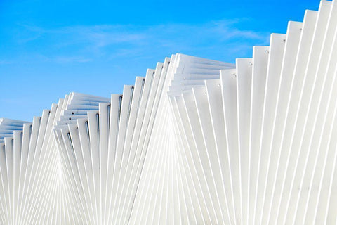 Il Ventaglio Black Ornate Wood Framed Art Print with Double Matting by Della Latta, Massimo