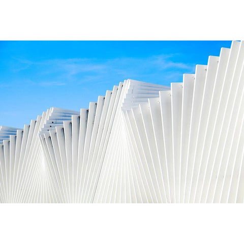 Il Ventaglio Gold Ornate Wood Framed Art Print with Double Matting by Della Latta, Massimo