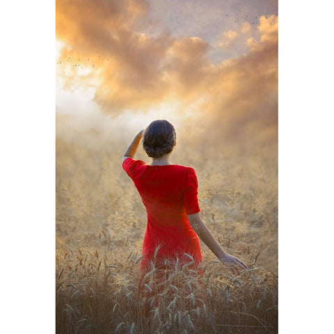 Another Day Coming White Modern Wood Framed Art Print by Neer, Ildiko