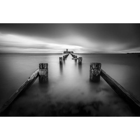 Torpedownia White Modern Wood Framed Art Print by Kuric Ep, Marian