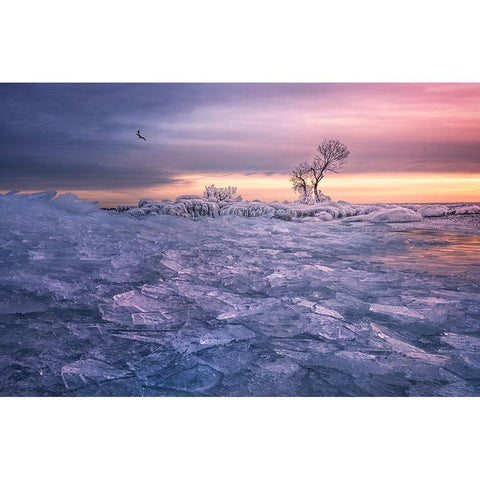 Winter Wonderland Black Modern Wood Framed Art Print with Double Matting by Deng, Larry