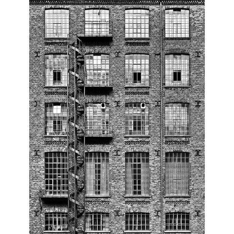 Spiral Staircase /2 Black Modern Wood Framed Art Print with Double Matting by Ebert, Steffen