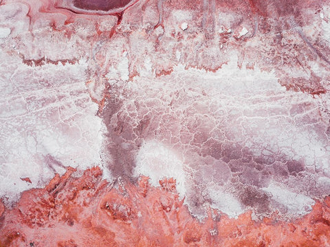 Salty Drawings II White Modern Wood Framed Art Print with Double Matting by Carrillo Lopez, Antonio