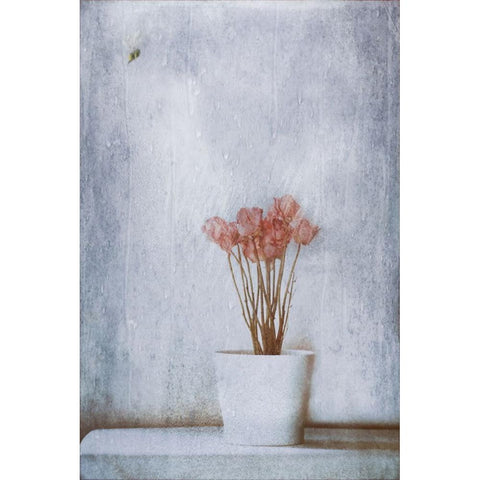 When Summers Gone... White Modern Wood Framed Art Print by Devos, Delphine