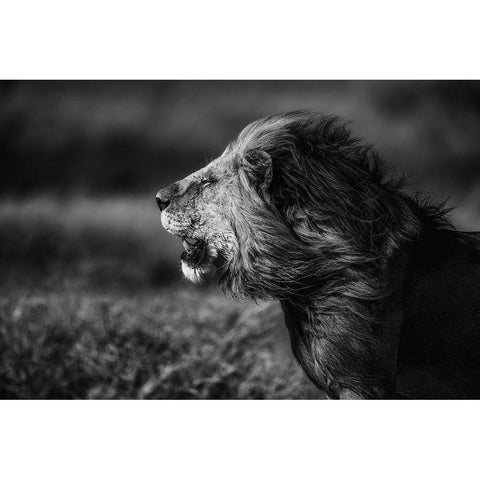 Breeze Gold Ornate Wood Framed Art Print with Double Matting by Alnaser, Mohammed