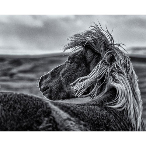 Glance Back White Modern Wood Framed Art Print by Ding, Sunny