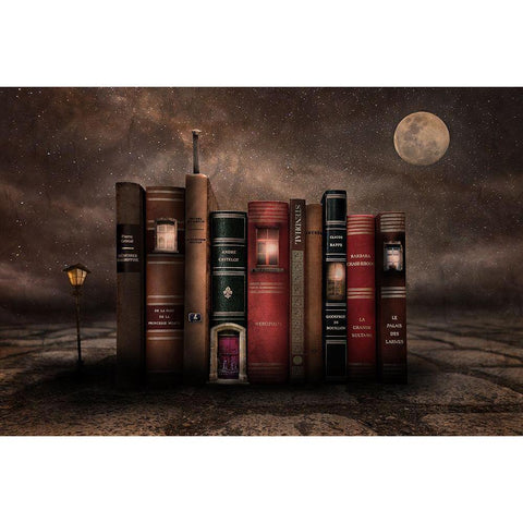 Night Library White Modern Wood Framed Art Print by Vekemans, Muriel