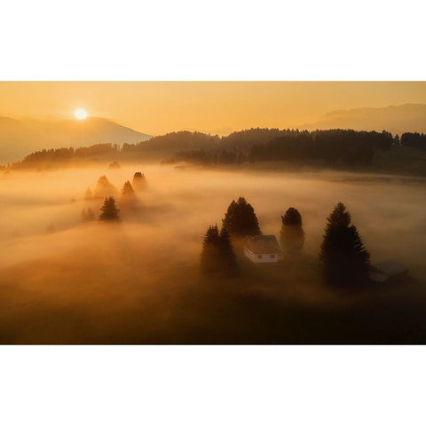 Morning Mist Gold Ornate Wood Framed Art Print with Double Matting by Krivec, Ales