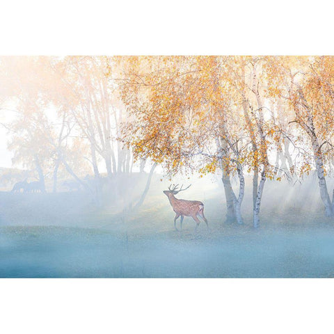 Elk Lost In Mist Black Modern Wood Framed Art Print with Double Matting by Simoon