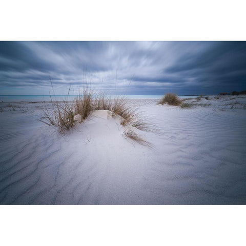 Beach White Black Modern Wood Framed Art Print with Double Matting by Colucci, Antonio