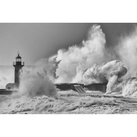 Whirlwind White Modern Wood Framed Art Print by Leal, Ricardo