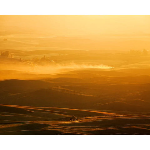 Field Of Streams White Modern Wood Framed Art Print by Fan, John