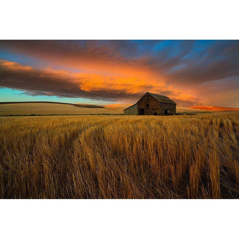 Storm Over Palouse Gold Ornate Wood Framed Art Print with Double Matting by Fan, John