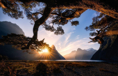 Sunny Day In Milford Sound White Modern Wood Framed Art Print with Double Matting by Zhu, Jingshu