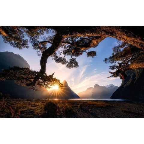 Sunny Day In Milford Sound Black Modern Wood Framed Art Print by Zhu, Jingshu
