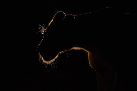 Untitled White Modern Wood Framed Art Print with Double Matting by Eichelberg, Amnon